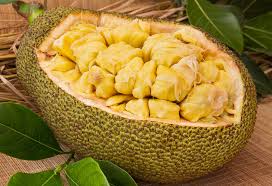 «what chippy ate for christmas: Eating Jackfruit During Pregnancy Health Benefits Side Effects