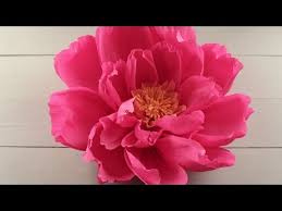 Maybe you would like to learn more about one of these? How To Make Giant Paper Flowers For A Wedding Backdrop Diy Craft Tutorial Youtube