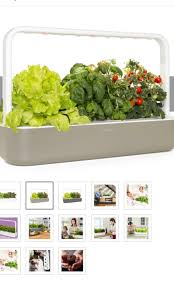 Click And Grow Smart Garden 9 Gardening Plants On Carousell