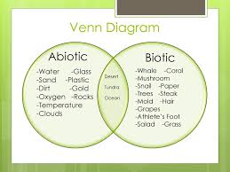 Abiotic And Biotic Factors Worksheet Printable Worksheets And Activities For Teachers Parents Tutors And Homeschool Families