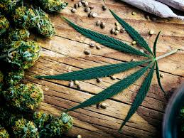In fact, when you ask this same question to seasoned cannabis growers, they will not give you a straight answer. The Different Forms Of Marijuana