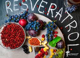 Discover the best resveratrol nutritional supplements in best sellers. Resveratrol 11 Benefits Of The Medicinal Polyphenol From Red Wine Nutrients Solutions