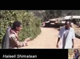 Download Oromia Oromo New Music By Hacaaluu Hundessa 3gp Mp4 Codedfilm