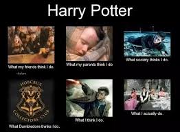 Here are the best harry potter memes; Harry Potter Memes Funny Clean Funny Memes 2019