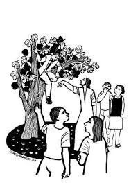 Evangelio Del Dia Lecturas Del Domingo 3 De Noviembre De 2019 Evangelio Del Dia Evangelio Evangelio Segun San Lucas