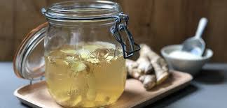 Ginger Bug Recipe In 2020 Ginger Bug Create A Recipe Recipes