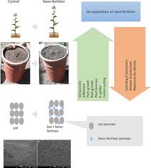 Maybe you would like to learn more about one of these? Characterization Of A Chitosan Based Sustained Release Nanofertilizer Formulation Used As A Soil Conditioner While Simultaneously Improving Biomass Production Of Zea Mays L Kubavat 2020 Land Degradation Amp Development Wiley Online Library