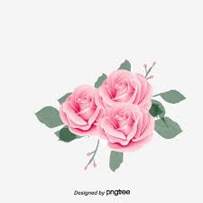 Pink Rose Flower Roses Clipart Rose Vector Flower Vector Png Transparent Clipart Image And Psd File For Free Download Rose Flower Png Purple Flower Background Pink Watercolor Flower