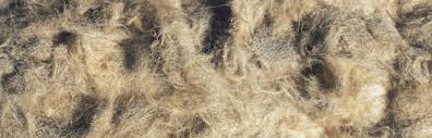 Approximately 35% of all mesotheliomas arise only from the peritoneum. Asbestos Exposure At Any Level Can Raise Risk Of Peritoneal Mesothelioma Review Suggests Mesothelioma Research News