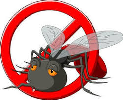 Be wary of companies that make unrealistic claims that bed bugs can be controlled with. Pest Control Markham Pest Control And Exterminator Services In Markham Toronto Ontario