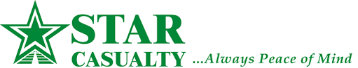 Pip adjuster at star casualty insurance company hollywood, fl. Www Starcasualty Com