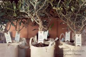 Little Olive Tree Wedding Favor Cigales Petitsfours Com Tree Wedding Favors Christmas Tree Decorations Ribbon Tree Wedding