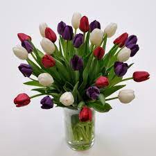 Velg blant mange lignende scener. Purple Red White Tulips Fresh Flowers Tulips Com