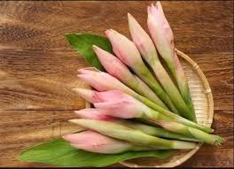 Caranya ialah dengan mengambil beberapa batang pokok kantan yang segar. Resepi Power Khasiat Bunga Kantan Bunga Kantan Bukan Sahaja Digunakan Sebagai Bahan Masakan Untuk Menyediakan Laksa Mahupun Kerabu Banyak Juga Manfaat Untuk Penjagaan Kesihatan 1 Untuk Pesakit Gout Rebus 3 Batang