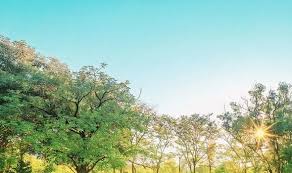 It is the day with the longest amount of daylight in the northern hemisphere and shortest amount of darkness. Longest Day Of The Year 2020 When Is The Longest Day Of The Year 2020 Express Co Uk