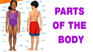 Parts of body in tamil. Speak Tamil Through English Spoken Tamil Lesson 19 Body Parts Youtube
