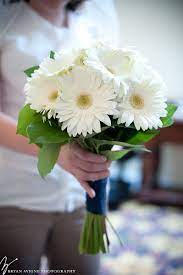 Bridal Bouquet Of White Gerberas With Images Daisy Bouquet Wedding Red Bridal Bouquet Gerbera Wedding