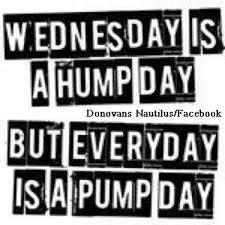 85 funny wednesday quotes, sayings, pics, and images. 60 Funniest Hump Day Memes To Survive Wednesdays