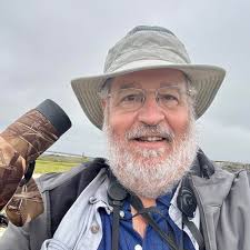 Indigo bunting spotted in Dover, Delaware