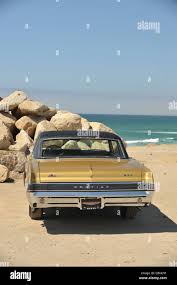 Image result for Tiger Gold 1965 GTO