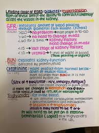 Renal Failure Nursing Chronic Renal Failure End Stage Renal Disease Esrd Kidneys Nursing Nursing School Notes Nursing School Survival Nursing School