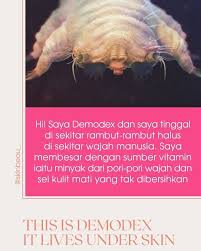 Perencanaan sumber daya manusia dalam suatu organisasi menentukan struktur dan bagan organisasi. Syerahmarykay Apa Itu Demodex Facebook