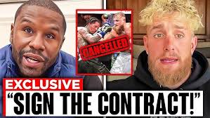 Road to Anthony Joshua vs Francis Ngannou