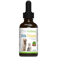 Money back guarantee, 24 hour customer service Milk Thistle For Healthy Liver Function In Dogs Pet Wellbeing