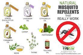 Pin On Home Remedies