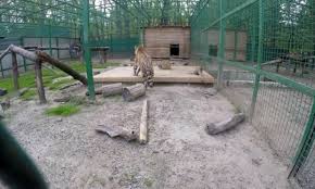 Харьковский зоопарк — государственный зоологический парк в харькове, старейший на украине и третий по возрасту в российской империи. Harkovskij Zoopark Rekonstruiruyut Za 74 Milliona Griven Znaj Yua