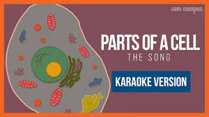 Maybe you would like to learn more about one of these? Parts Of A Cell Song Karaoke Version Youtube