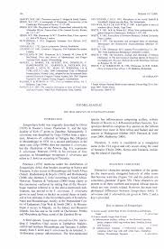 Image result for Synaptolepis alternifolia