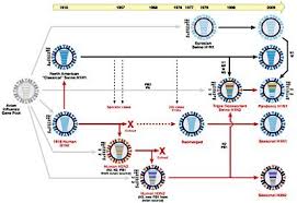Die wolke stammbaum / wolke heraldik wappen symbole u rubinrot gwendolyn stammbaum from 4.bp.blogspot.com. Schweinegrippe Erreger Ist Nachkomme Des Pandemie Virus Von 1918 Erster Stammbaum Der Influenza A H1n1 Enthullt Entwicklung Bis Heute Scinexx De