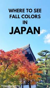 Autumn In Kyoto Japan 3 Day Itinerary Japan In November December Where To Go For Fall Foliage Colors Backpacking Japan Fall Travel Flashpacking Japan Japan Travel Destinations Japan Travel Culture Travel