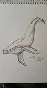 55 Trendy Drawing Sketches Pencil Artists Ocean Drawing Sea Animals Drawings Animal Drawings Sketches