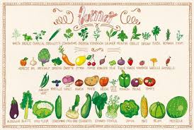 Ce Que Les Gourmands Disent Sab En Cuisine Les Fruits Et Legumes De Juillet