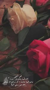 pin by طوق الياسمين ღ on meem plant leaves picture quotes plants