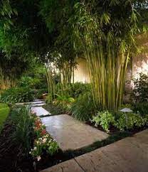Love the unusual placement of the bamboo fencing: 63 Bamboo Garden Ideas Bamboo Garden Backyard Garden