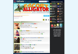 LadysOne & 32+ Escort Sites in the USA like Ladys.One