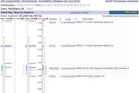 Feb 05, 2010 · télécharger des livres par eric worre date de sortie: Search For Human Specific Proteins Based On Availability Scores Of Short Constituent Sequences Identification Of A Wrwsh Protein In Human Testis Intechopen