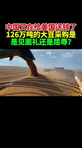 中国为了特朗普会面购买126万吨大豆