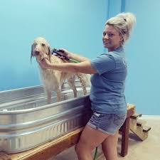 Your local dog groomer is as close as your neighborhood petsmart! Salty Paws Pet Salon Now Open In Pinehurst Community Impact Newspaper