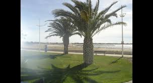 10:32 smsalv34 recommended for you. Restaurant Au Petit Bonheur Le Grau Du Roi