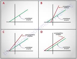 What Is The Difference Between Michaelis Menten And Lineweaver Burk Plot |  Compare The Difference Between Similar Terms