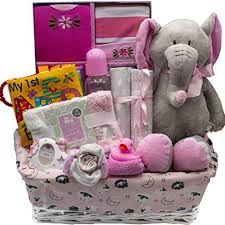 The plush stork is sure to be cherished for years to come. 19 Baby Gift Baskets Diy Or Premade Babygift Baskets