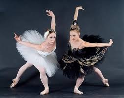Black And White Swan Ballet White Swan And Black Swan Ballet Beautiful Swan Lake Ballet Swan Lake Ballet Poses