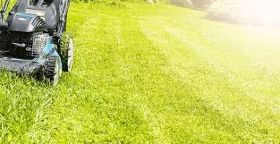 We did not find results for: Tips For A Manicured Lawn Lawn Street