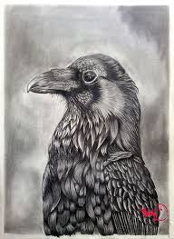 Hyper Realistic Drawing Of Common Raven Graphite Pencil On A3 Paper Realistic Drawings Animal Drawings Drawings