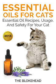 Avoid essential oil diffusers if cats or other pets have underlying health problems, especially respiratory issues. Essential Oils For Cats Essential Oil Recipes Usage And Safety For Your Cat Ebook By The Blokehead 1230000433808 Rakuten Kobo United States