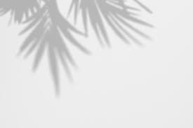 Hd wallpapers and background images. White Wallpaper Psd 1 000 High Quality Free Psd Templates For Download